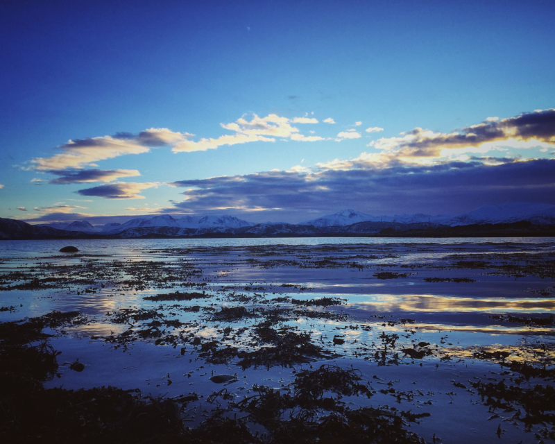 God Jul og Godt Nytt År!