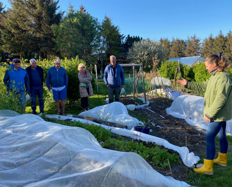 En ny fin kveld i hagen