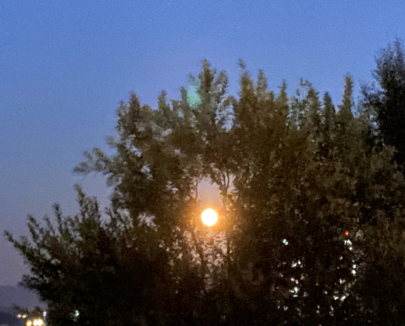 Giske Rotaryklubb på flyttefot