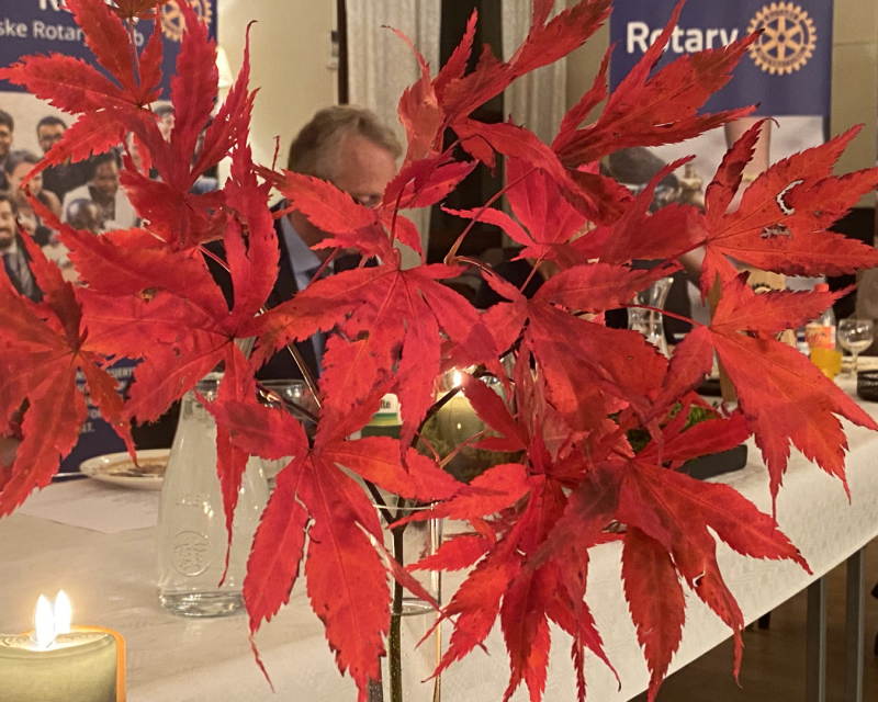 Høstens høydepunkt!