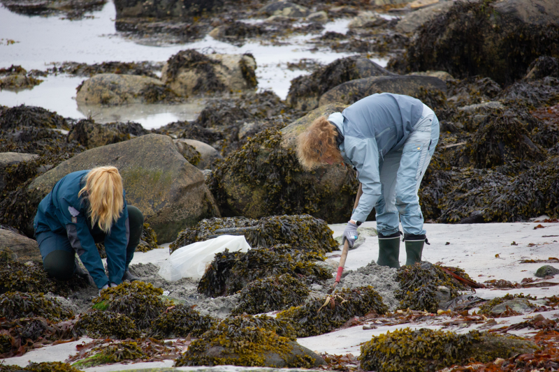 Strandrydding i Sandvika