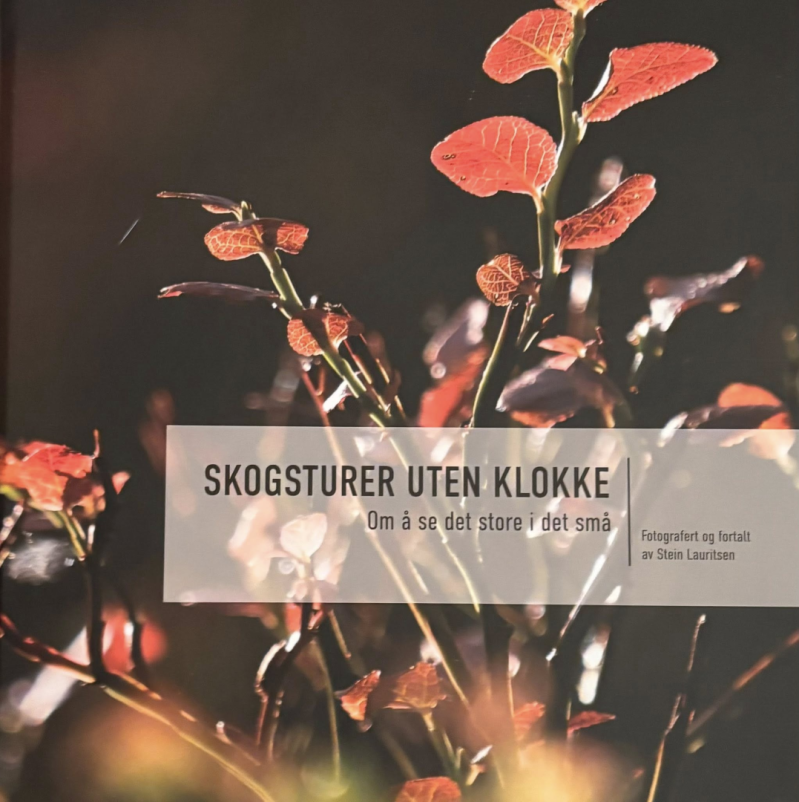 Stein Lauritsen: Skogsturar utan klokke